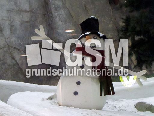 385 Schneemann.JPG